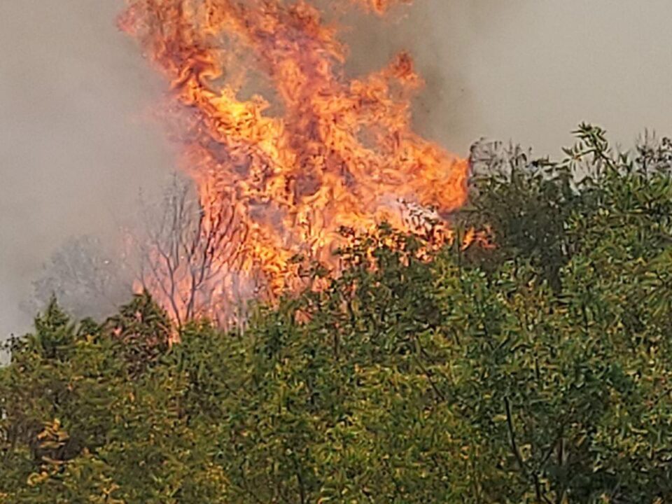ФОТО: Изгаснат пожарот во катлановското село Градманци – екипите остануваат на терен и ноќва