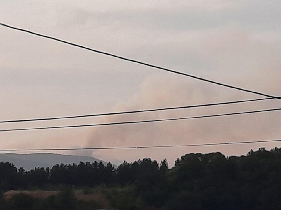 Пожарот меѓу Делчево и Пехчево се уште активен – пожарникарите со сета сила се мачат да го изгаснат огнот (ФОТО)