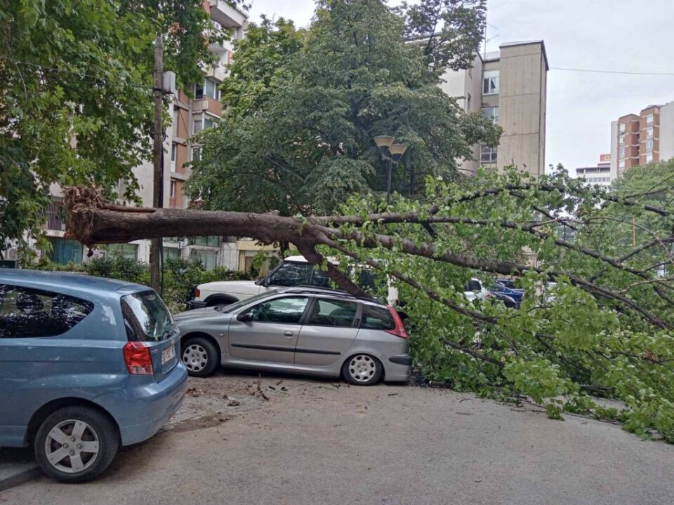 ХАОС ВО ЦЕНТАРОТ НА СКОПЈЕ: Дрво падна врз три автомобили кај Зелен пазар (ФОТО)