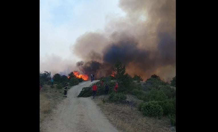 ВИДЕО: Нов голем пожар кај беровско Будинарци