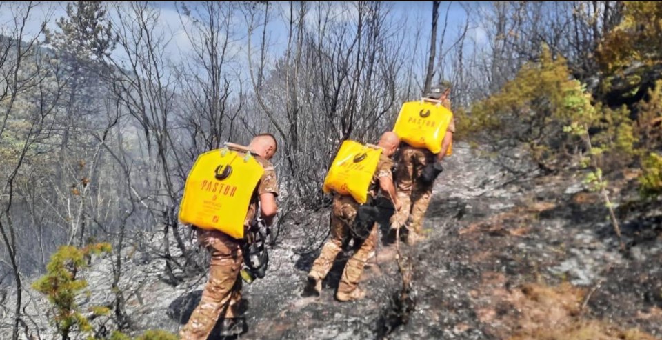 Изминатото деноноќие 450 полицајци гаснеле пожари низ Македонија, фатиле 4 лица кои ќе одговараат