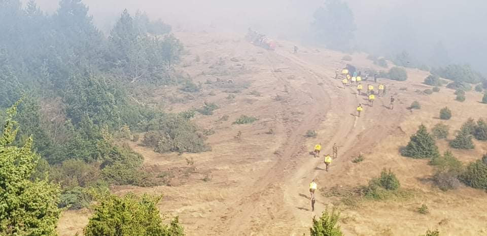 Спасувачката акција над село Разловци