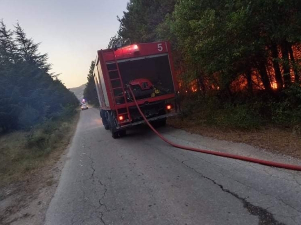 Дел од бугарските пожарникари кои помагаа во Македонија се вратија во Бугарија