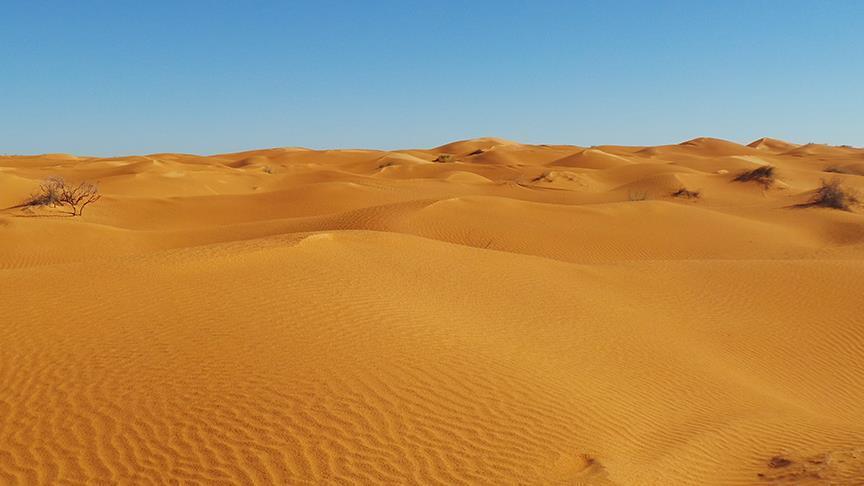 Пронајдени 20 безживотни тела во пустина во Либија