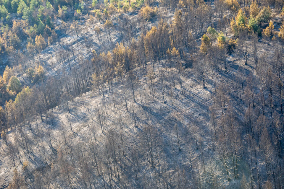 Во пожарите што летото ја зафатија земјава изгореа 482.106 метри кубни дрва, штетата е 2.318.091.000 денари