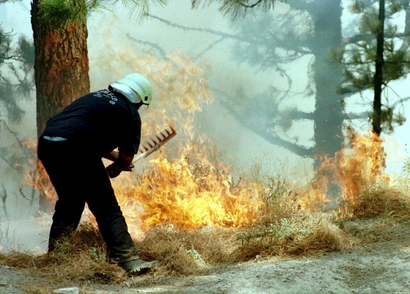 Околу 26.000 луѓе принудени да избегаат поради шумските пожари на Тенерифе