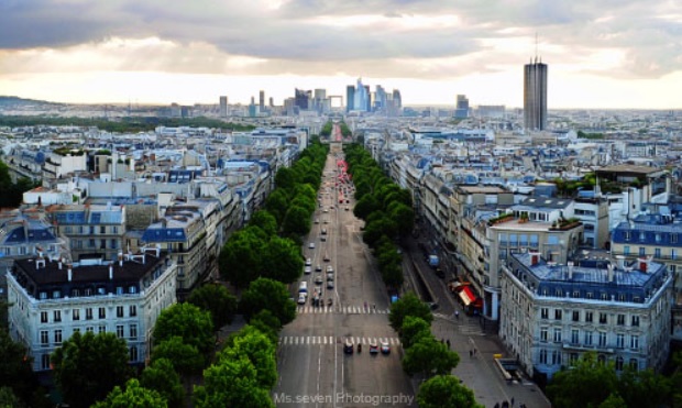 Париз ќе засади 170.000 дрва за да ја подобри климата во градот