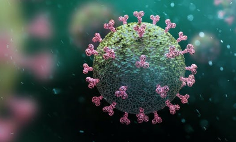 КОНЕЧНО Е ПОЗНАТО: Колку антитела се потребни за заштита од сите соеви на коронавирус?