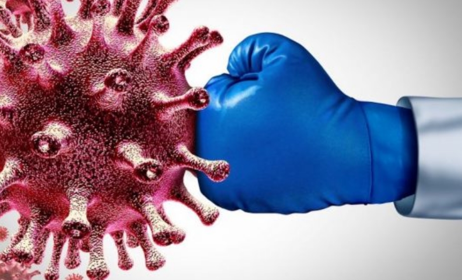 Конечно е познато: Колку антитела остануваат во телото по инфекцијата?