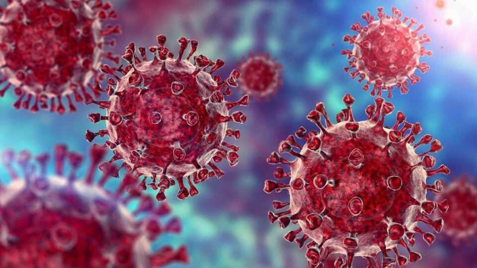 Фаучи: САД излегоа од пандемијата на коронавирус