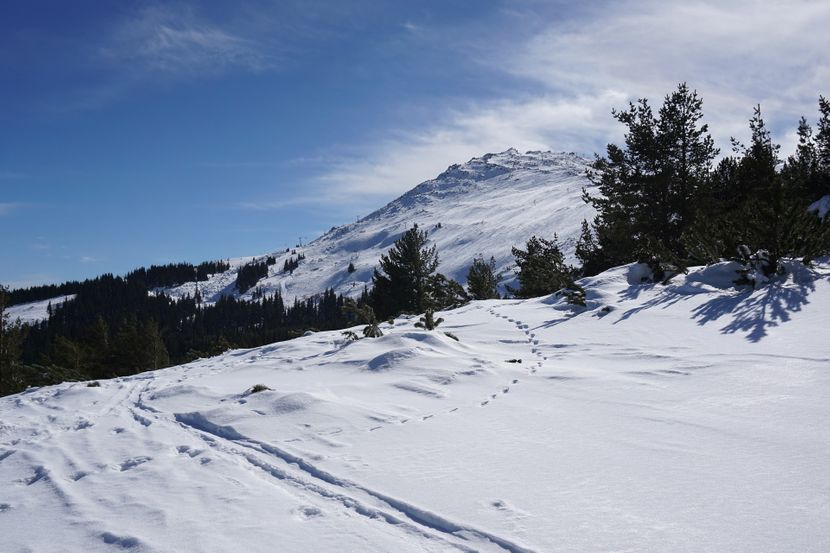 Планирате зимски одмор во Бугарија? Еве дали е потребен сертификат во ски-објектите