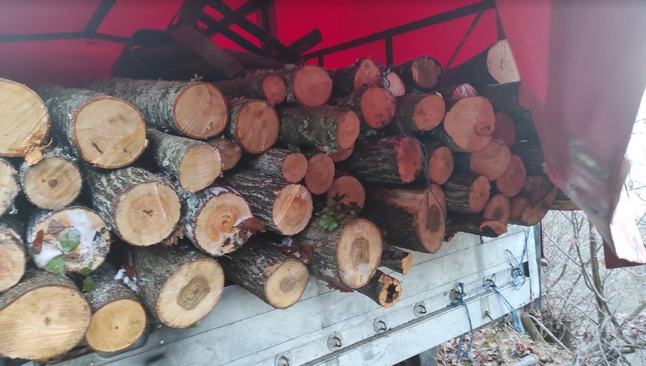 Пронајдени и одземени бесправно исечени огревни дрва, кривични пријави против инволвираните