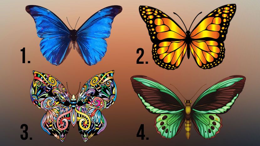 Психо тест: Изберете пеперутка и дознајте што да направите за да извлечете повеќе од животот