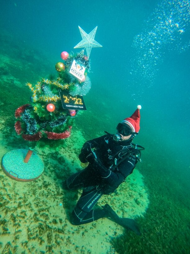 ФОТО+ВИДЕО: По 19 пат накитена новогодишната елка во водите на Охридското Езеро