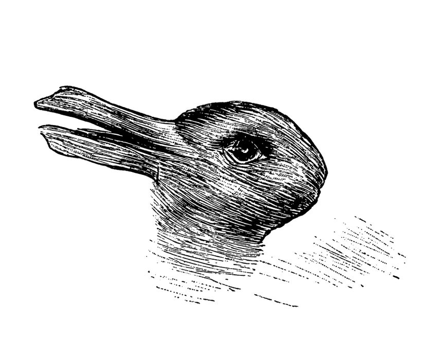 Дали гледате зајак, патка или и двете: Одговорот открива дали сте рационалист, емотивец или креативец