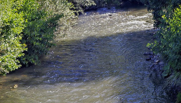 За 121 сантиметар зголемен водостојот на Пчиња, а еве каква е состојбата со останатите реки во Македонија