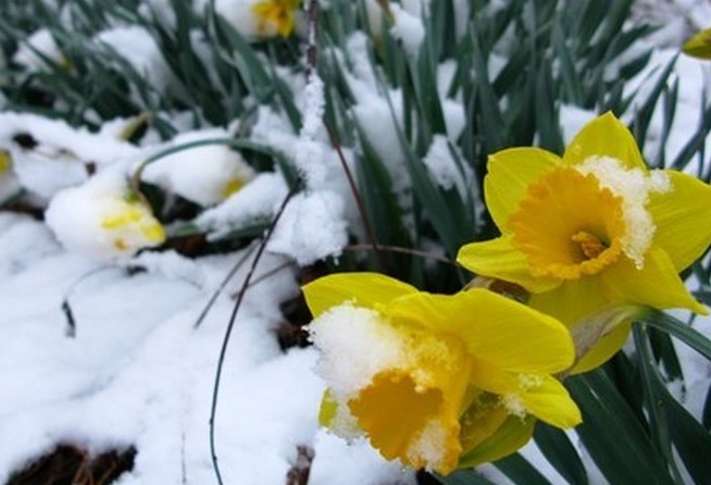 ВЕРУВАЛЕ ИЛИНЕ НИ ДОАЃА СНЕГОТ – доколку мислевте дека пролетта е дојдена се лажете, еве што најавува УХМР!