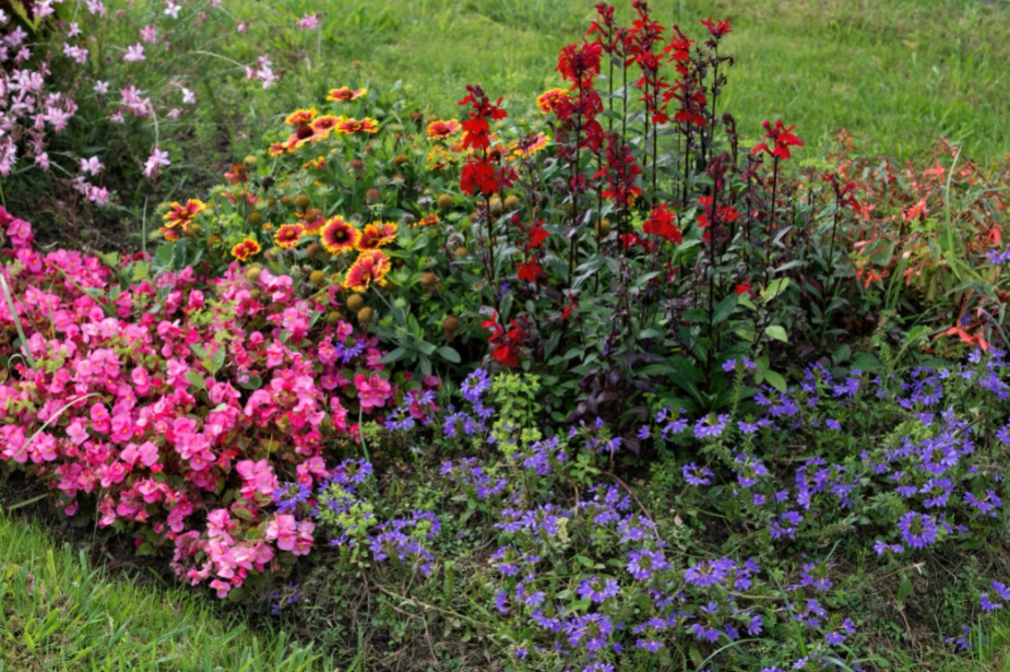 ПРОЛЕТНО УРЕДУВАЊЕ НА ГРАДИНИТЕ: 4 видови цвеќиња кои не предизвикуваат алергија на полен