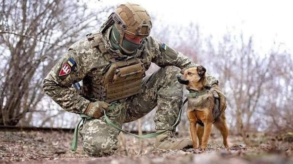 На украинските војници и кучињата им помагаат да ја одбранат земјата
