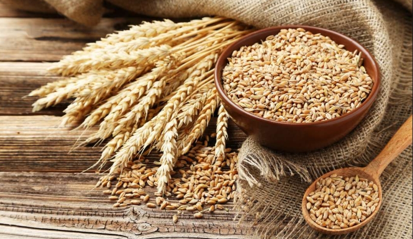 Србија забрани извоз на пченица и брашно, ни Македонија не е изземена