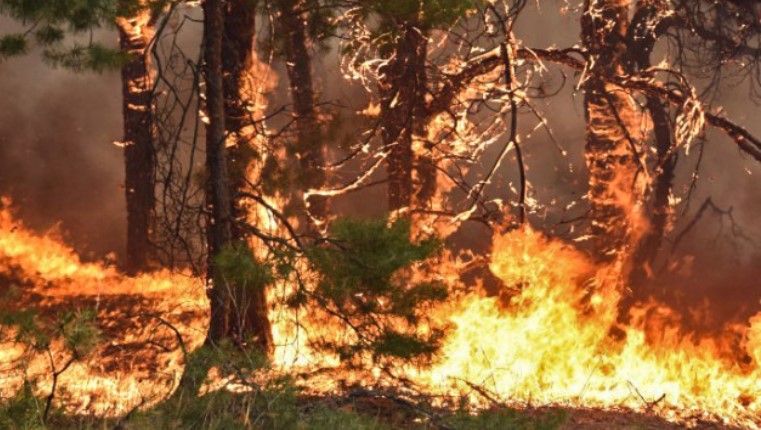 Грција се подготвува за летните пожари: Доаѓаат пожарникари од шест европски држави
