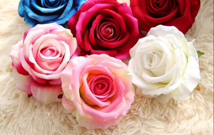 Утре ќе добивате и подарувате рози, но важно е да го знаете значењето на нивната боја