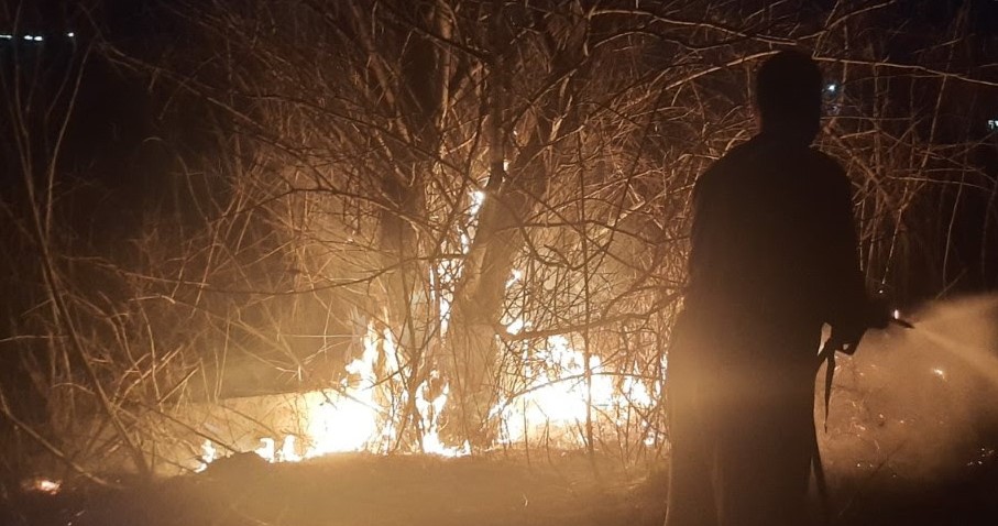 Беснееше шумски пожар предизвикан од запалени гуми, пожарникарите го изгасија