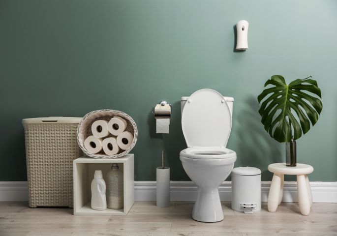 За здрав и чист тоалет: Со помош на оваа намирница ќе се ослободите од непријатната миризба