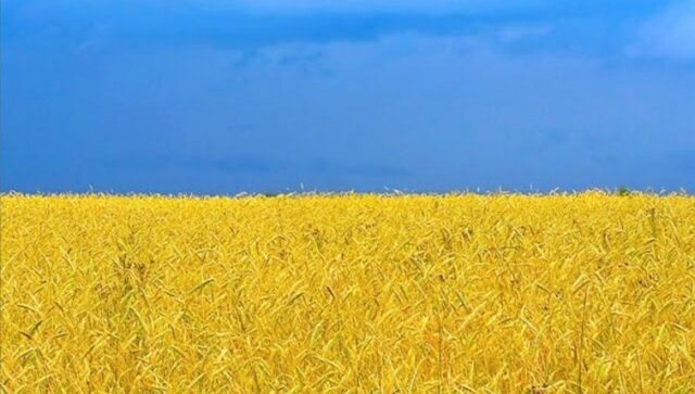 ОН: САД ќе купат 160.000 тони украинско жито за гладните во светот