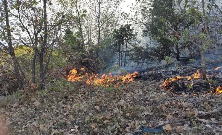 Пожар во струмичко, горат 20 хектари нискостеблеста шума
