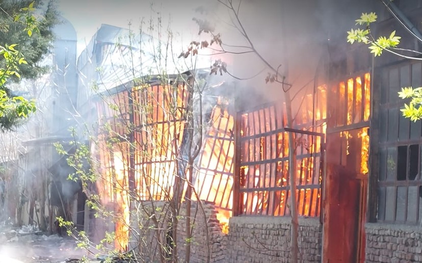ГАЛЕРИЈА: Пламените јазли се шират, гори голема површина кај „Треска“