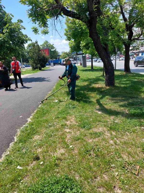 ЈП „Паркови и зеленило“ со пролетна акција во центарот на Скопје (ФОТО)