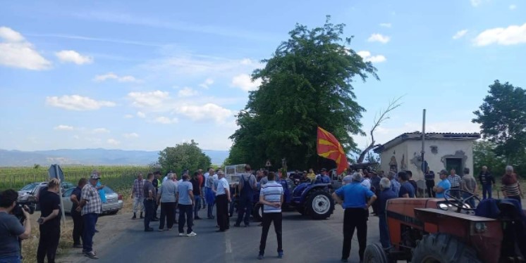 СЕ СООЧУВААТ СО НИЗА ПРОБЛЕМИ: Лозарите протестираат