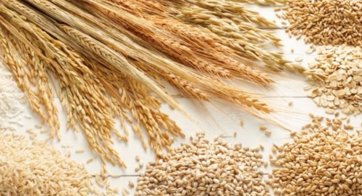 Сунак и Зеленски повторија колку е важно Украина да извезува жито