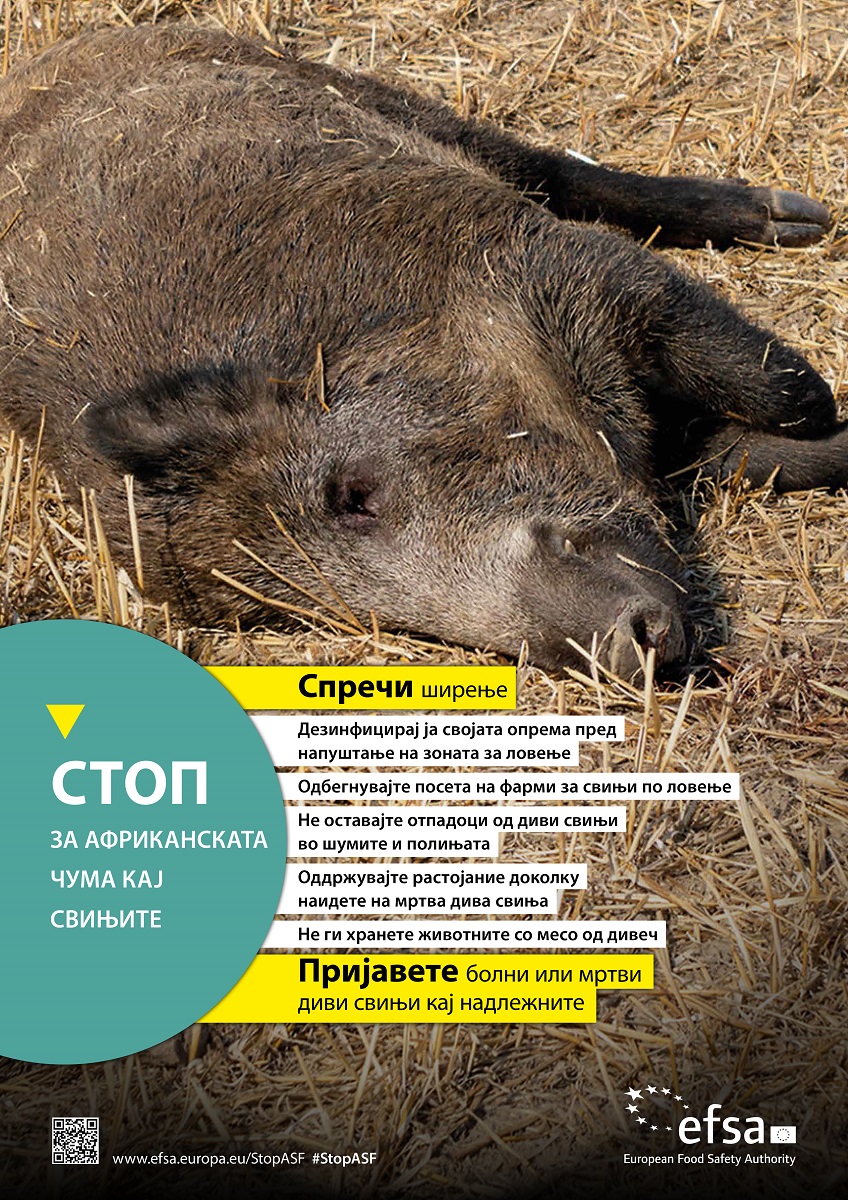 Детектирај, спречи, пријави: Кампањата на ЕФСА за Африканската чума кај свињите продолжува трета година по ред