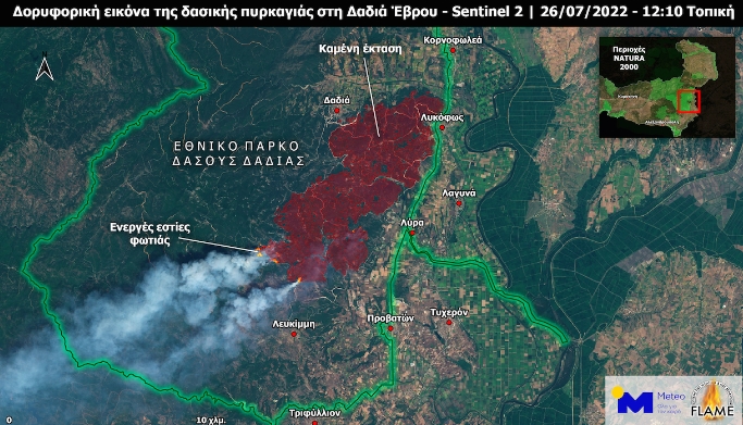 Во пожарот во грчкиот Национален парк Дадиа во Еврос досега изгореле 12 отсто од заштитената шума