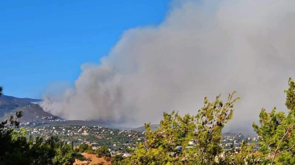 Голем шумски пожар во североисточниот дел на областа Атика
