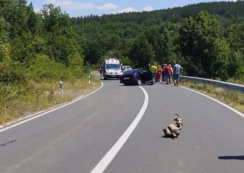 ФОТО: Тројца повредени во сообраќајка на патот Делчево – Македонска Каменица, бројот на повредени може да се зголеми