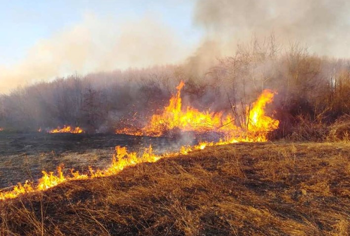 Пожар во Старо Нагоричане, горел објект со огревни дрва и трупци