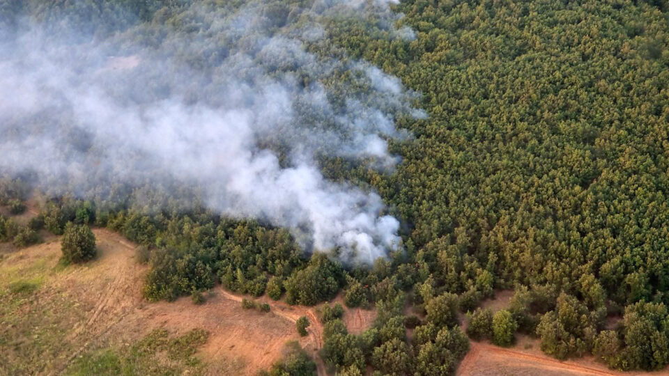 Пожарот на Криволак целосно изгаснат, има уште неколку жаришта во општина Василево