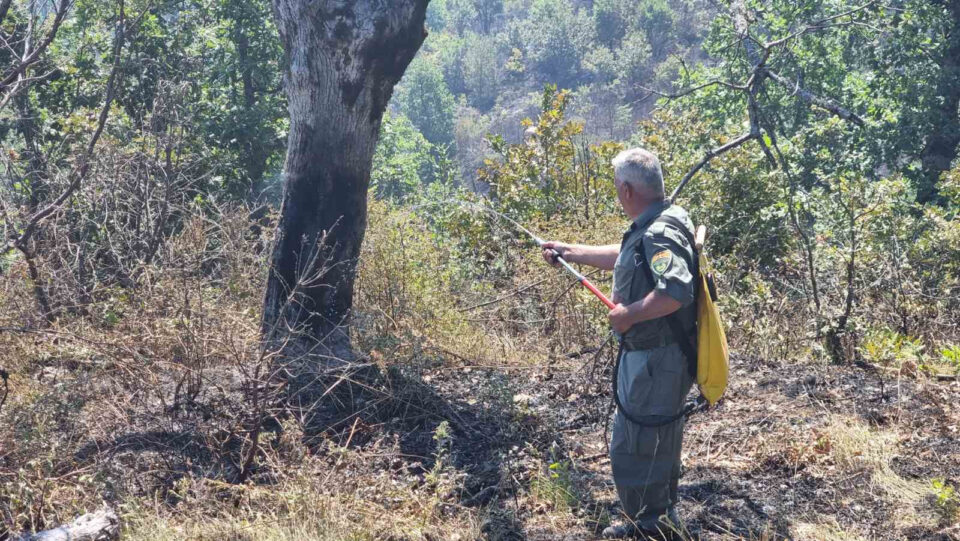 Пожарот во Беровско локализиран, гореа депонии во Скопје, Делчево и Штип