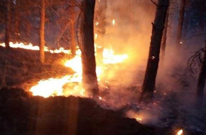 Два пожари вчера во околината на Велес, повредени нема