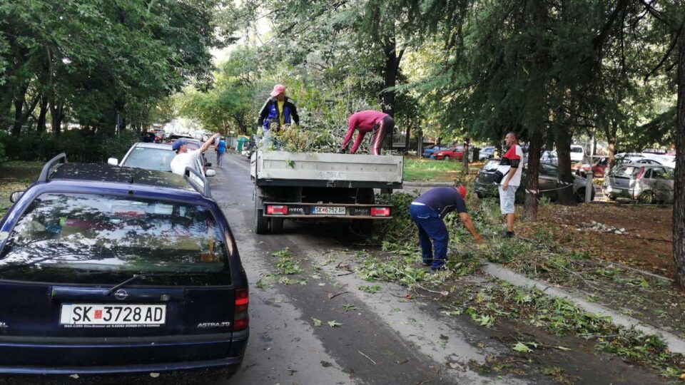 Општина Аеродром и ЈП „Паркови и зеленило“ на терен: Се отстрануваат штетите од силното невреме