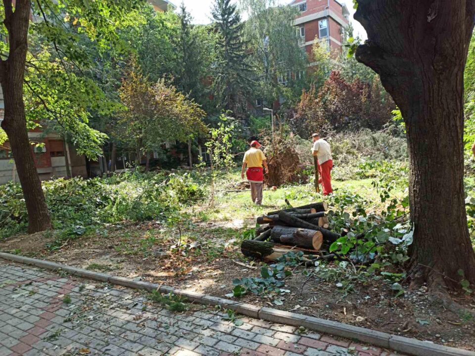 „Ниту еден преставник на владата не кренал телефон да помогне во справување со невремето, градоначалниците на ВМРО-ДПМНЕ им ги чистат приодите до државните објекти“