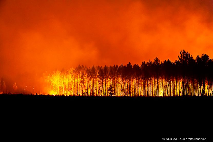 Шумски пожар дивее во Калифорнија: Две лица загинаа, илјадници се загрозени