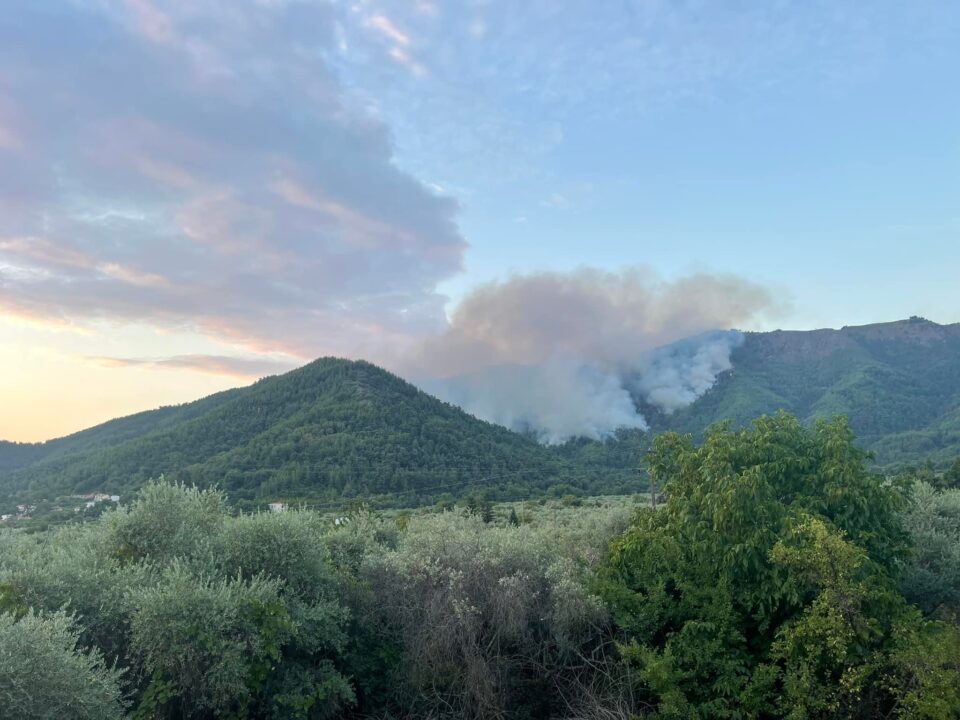 Голем шумски пожар на грчкиот остров Тасос, евакуирано едно село