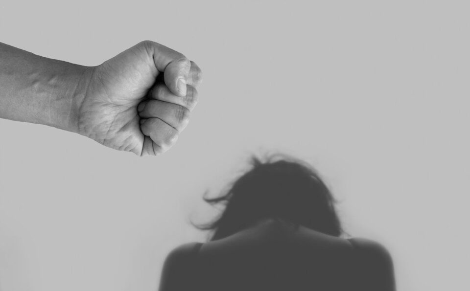 Тренчевска: Намален бројот на жртви на семејно насилство