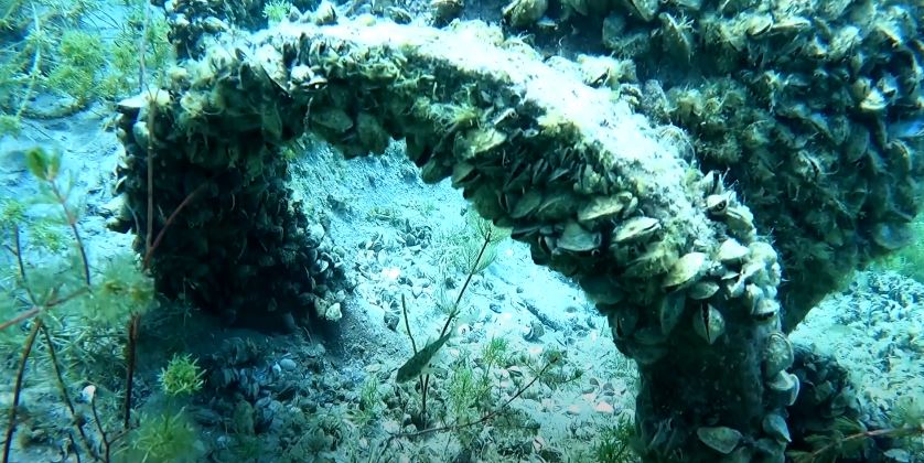 ВИДЕО: Погледнете го подводното културно наследство во Охридското Езеро