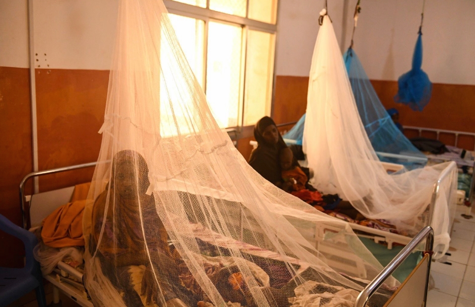 ОН: Делови од Сомалија се соочуваат со глад