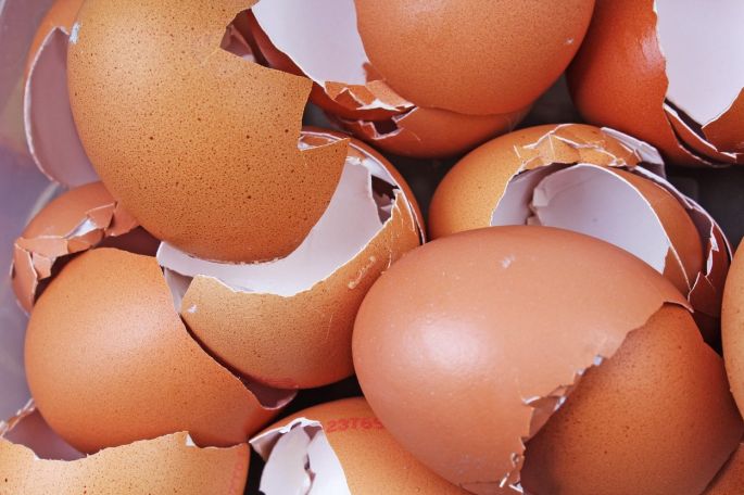 Не ги фрлајте лушпите од јајце: Оставете ги на место со сончева светлина за да се исушат, па потоа искористете ги вака!